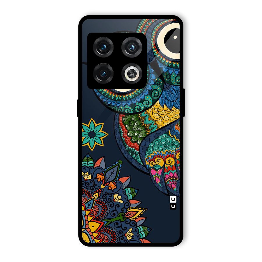 Owl Eyes Glass Back Case for OnePlus 10 Pro 5G