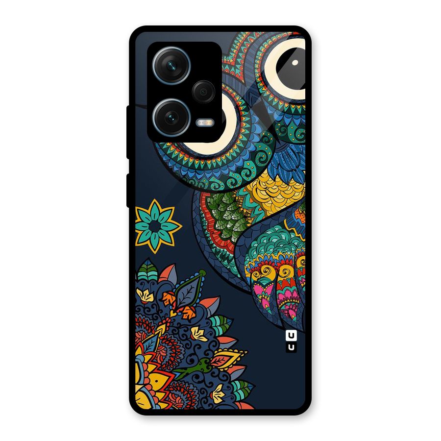 Owl Eyes Glass Back Case for Redmi Note 12 Pro Plus 5G