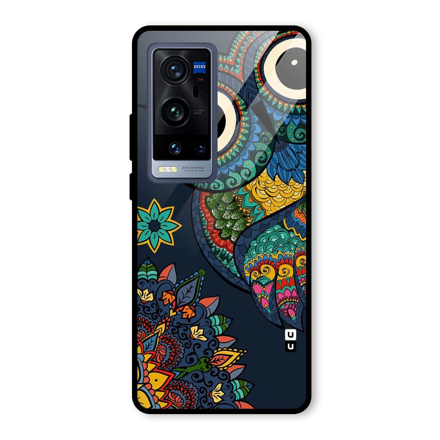 Owl Eyes Glass Back Case for Vivo X60 Pro Plus