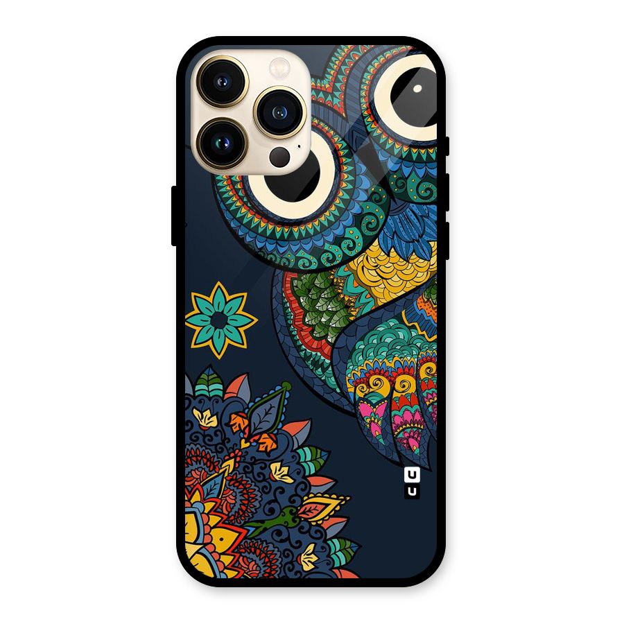 Owl Eyes Glass Back Case for iPhone 13 Pro Max