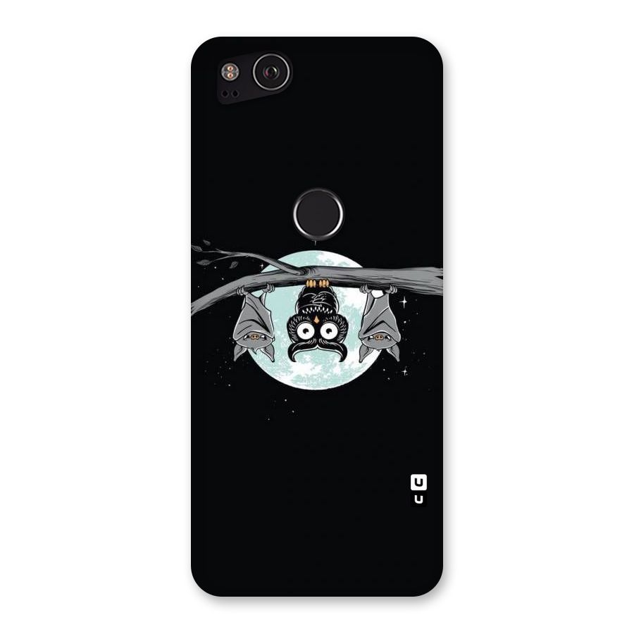 Owl Hanging Back Case for Google Pixel 2