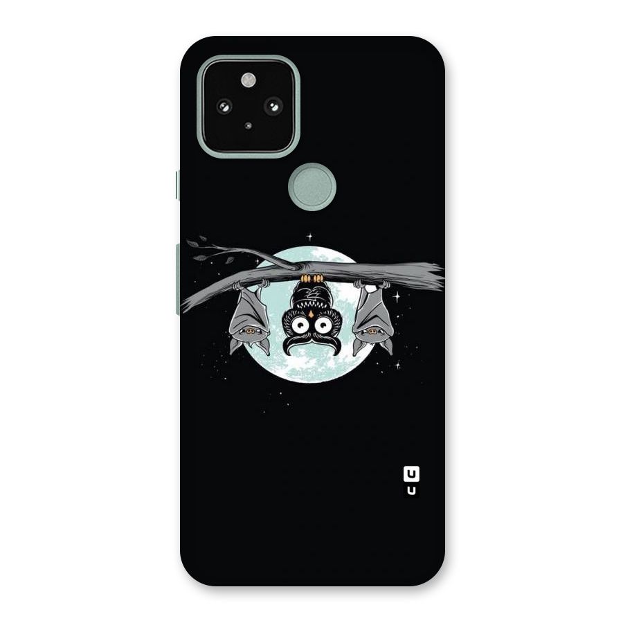 Owl Hanging Back Case for Google Pixel 5