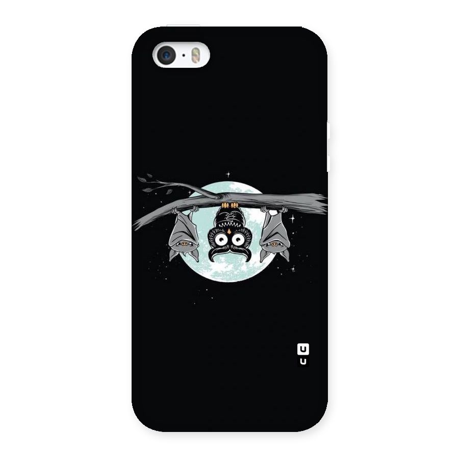 Owl Hanging Back Case for iPhone 5 5S