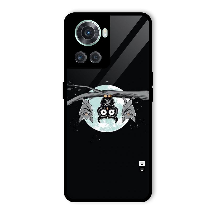 Owl Hanging Glass Back Case for OnePlus 10R