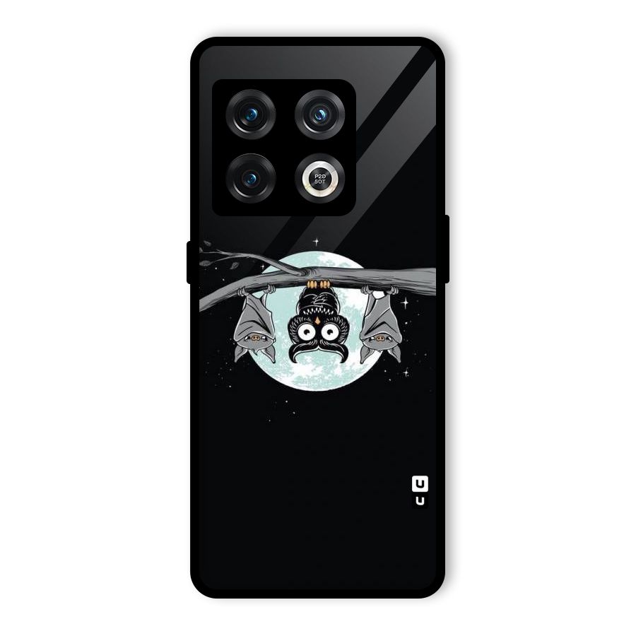 Owl Hanging Glass Back Case for OnePlus 10 Pro 5G