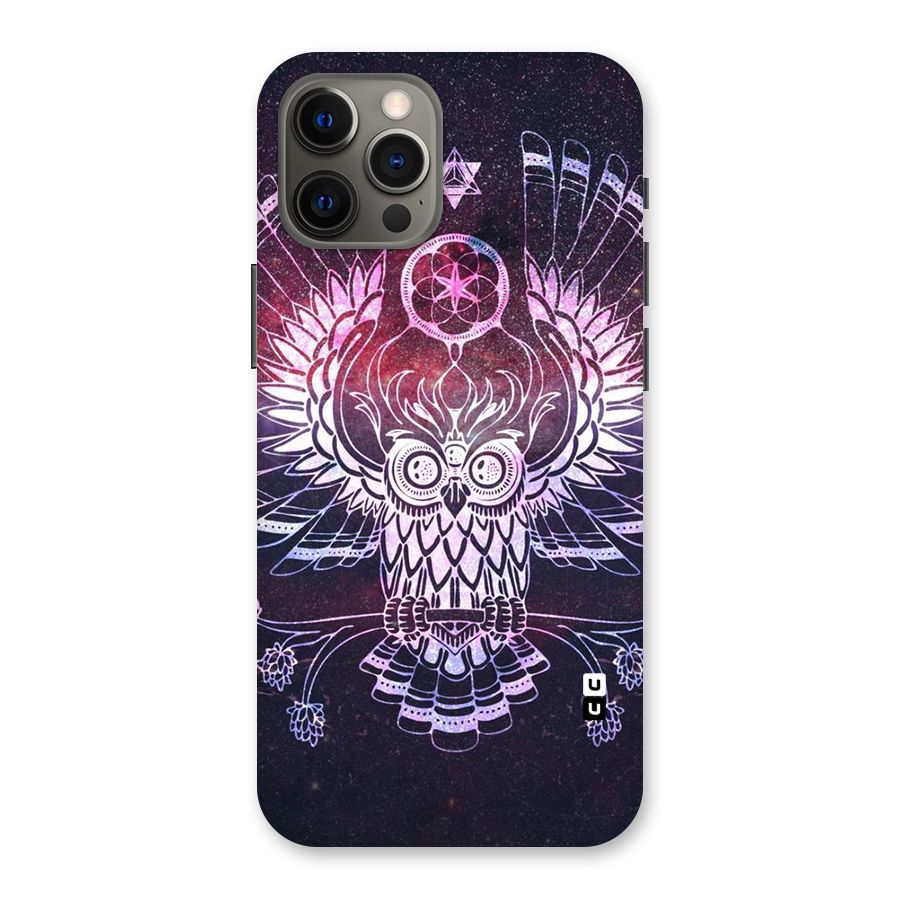 Owl Quirk Swag Back Case for iPhone 12 Pro Max