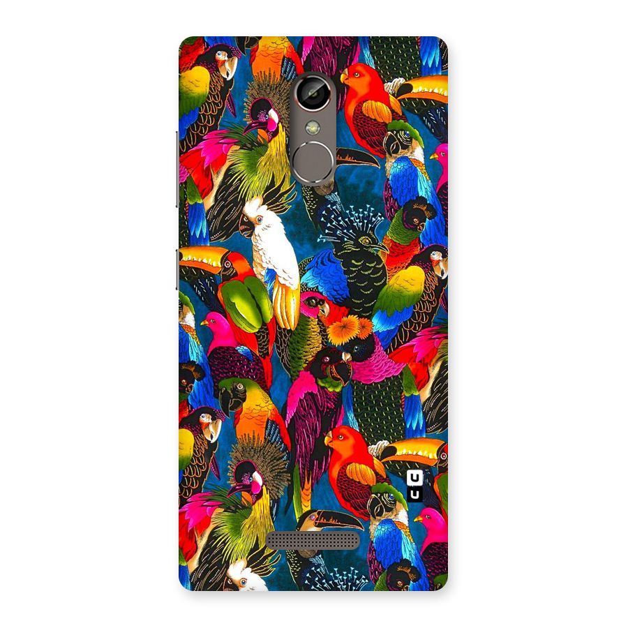 Parrot Art Back Case for Gionee S6s