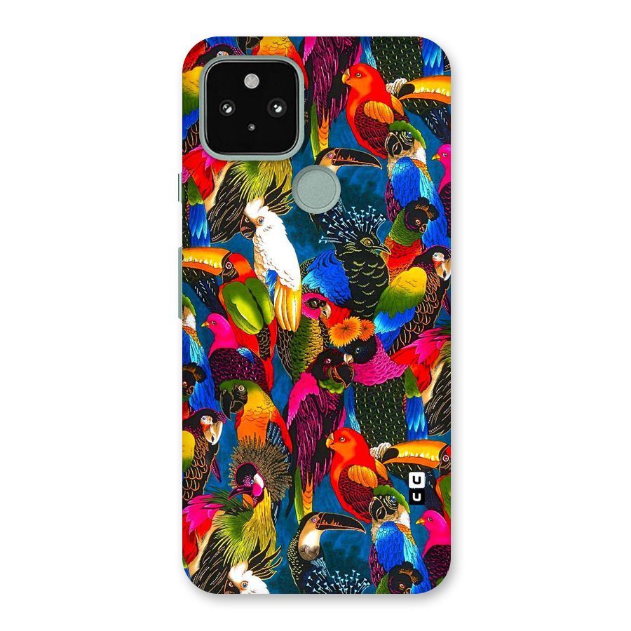 Parrot Art Back Case for Google Pixel 5