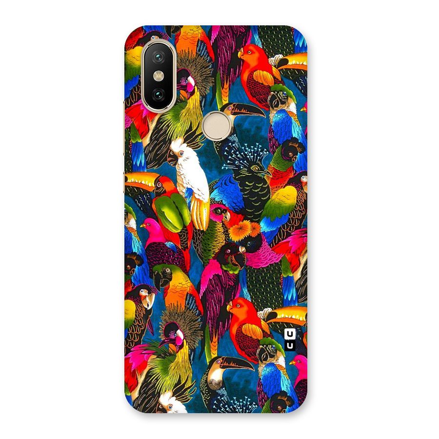 Parrot Art Back Case for Mi A2