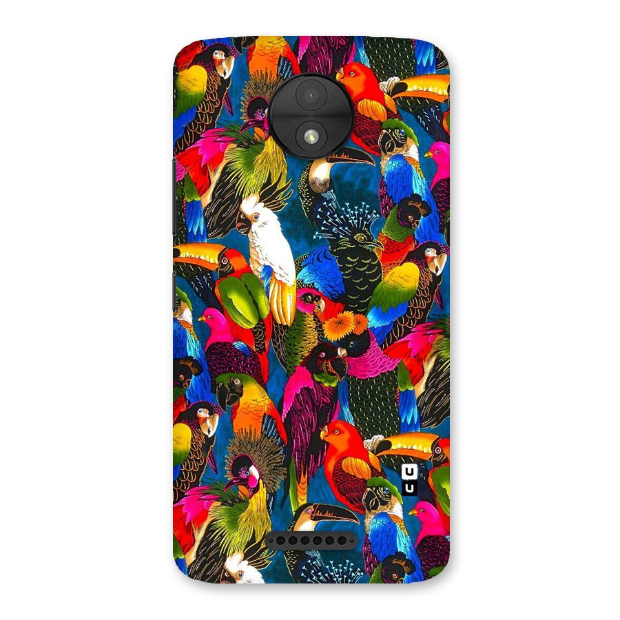 Parrot Art Back Case for Moto C
