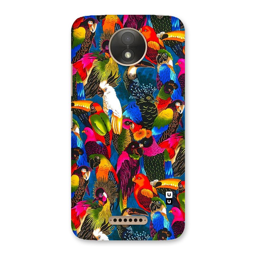 Parrot Art Back Case for Moto C Plus