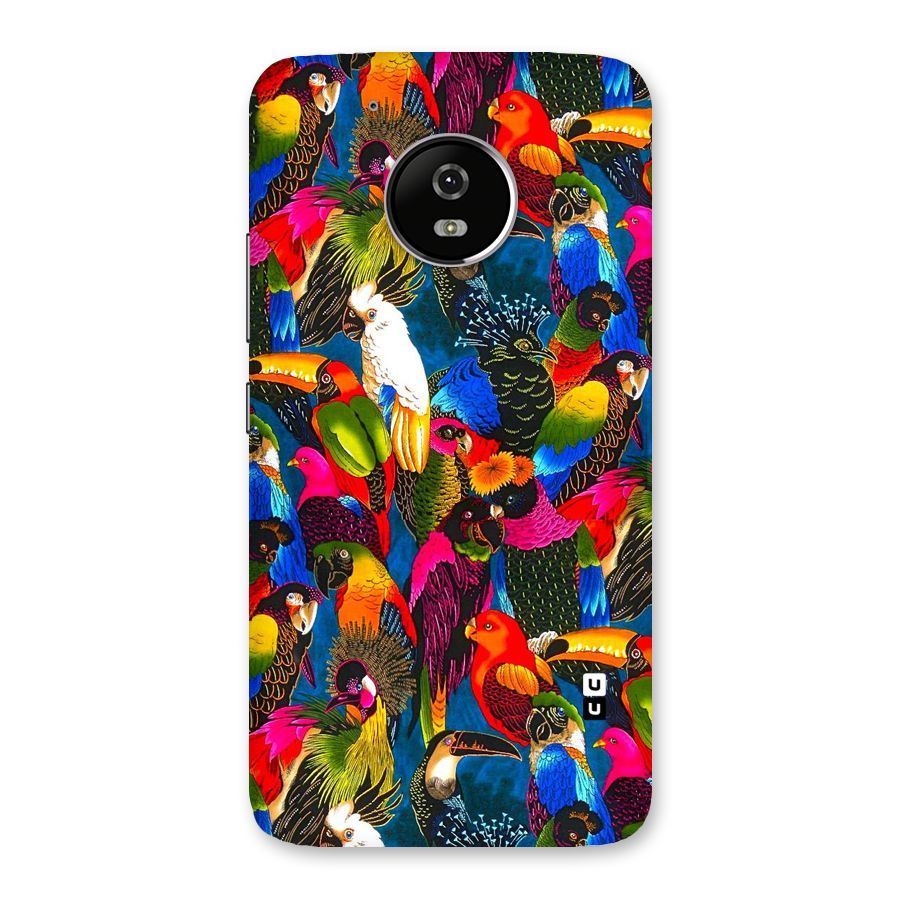 Parrot Art Back Case for Moto G5