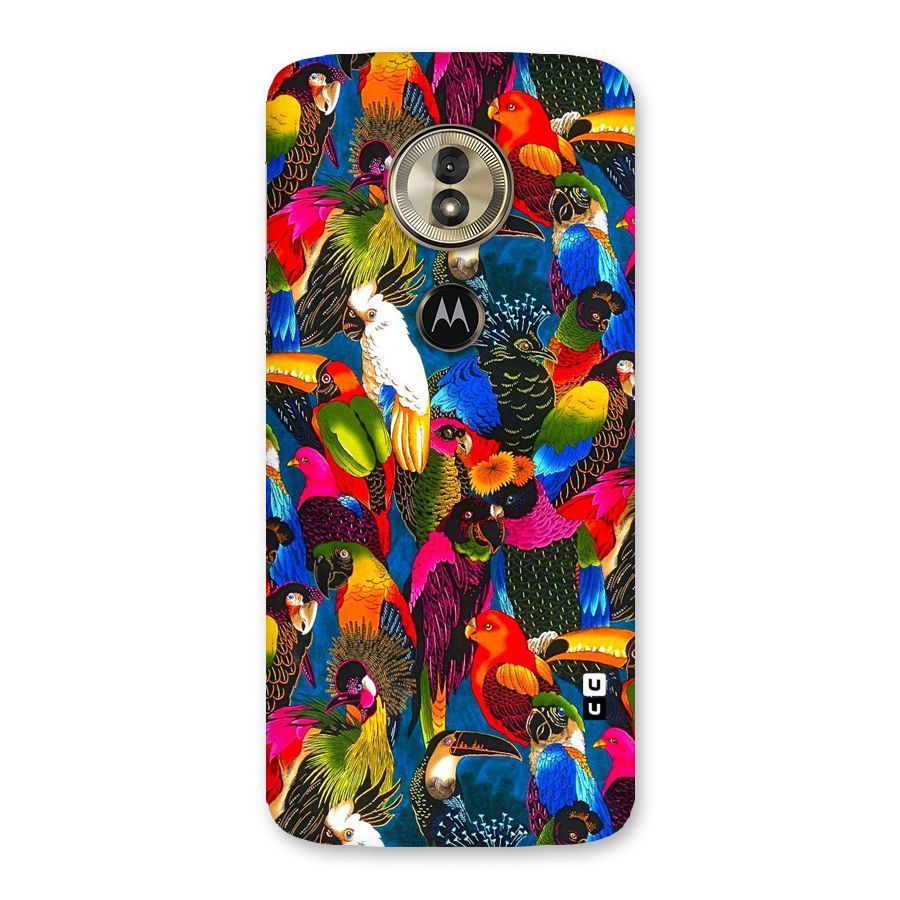Parrot Art Back Case for Moto G6 Play