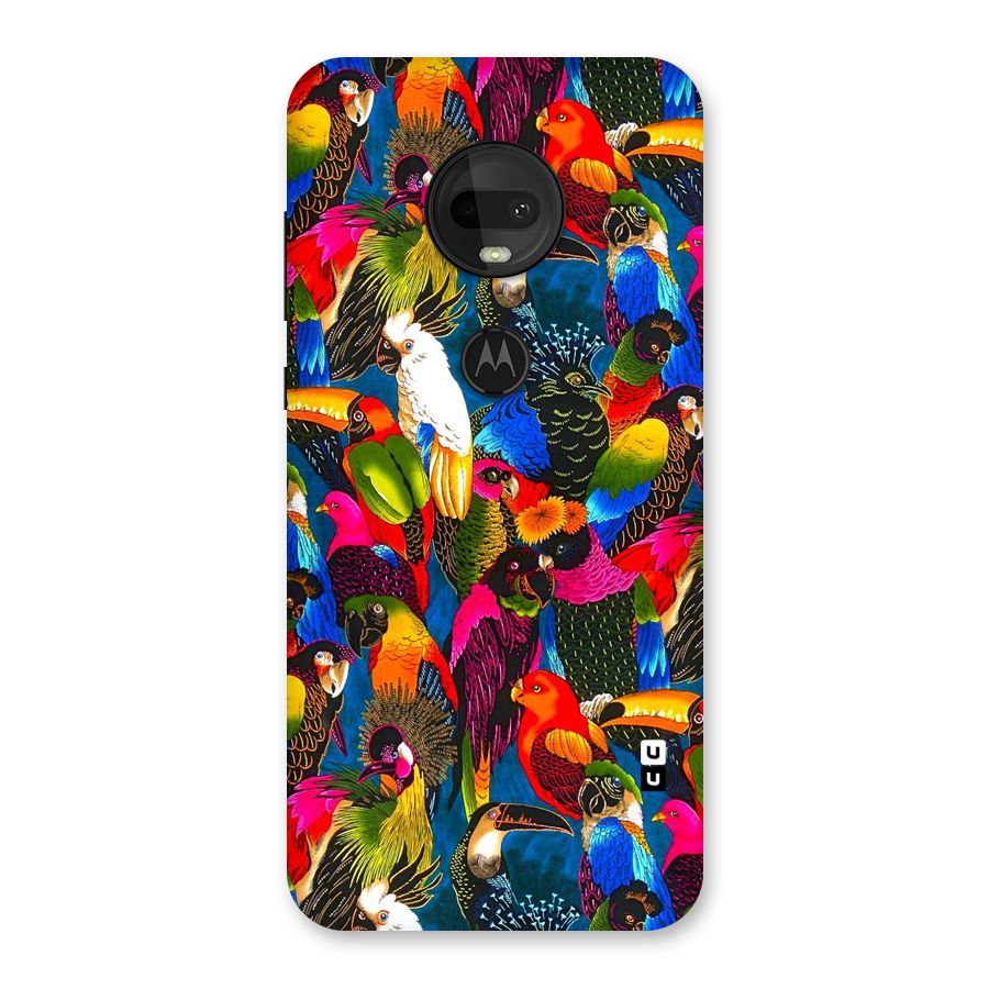 Parrot Art Back Case for Moto G7