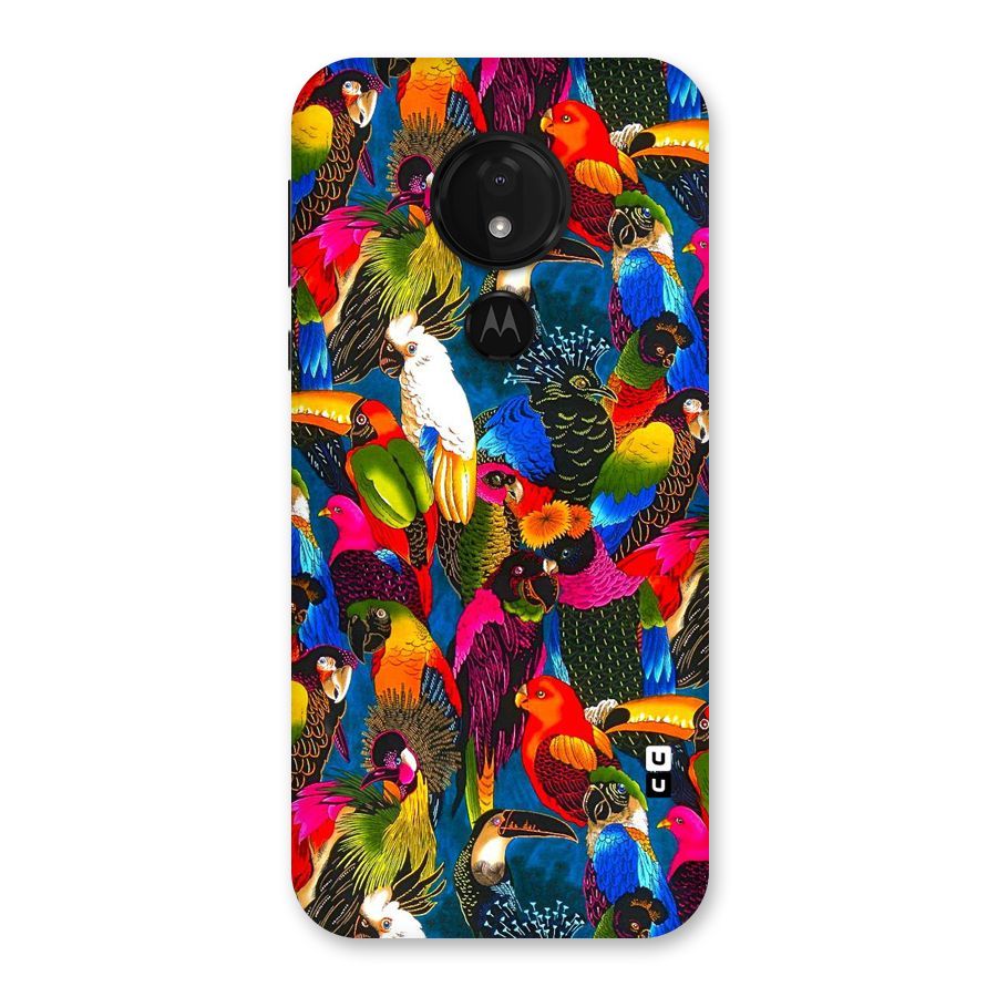 Parrot Art Back Case for Moto G7 Power