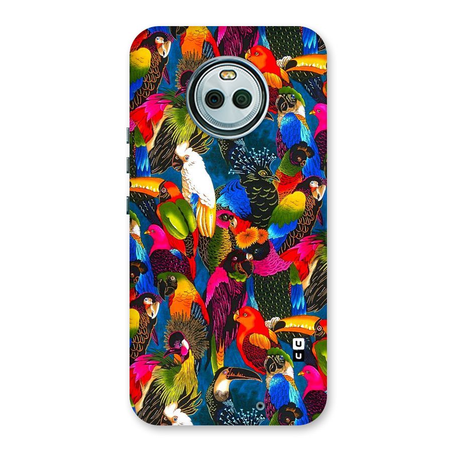 Parrot Art Back Case for Moto X4