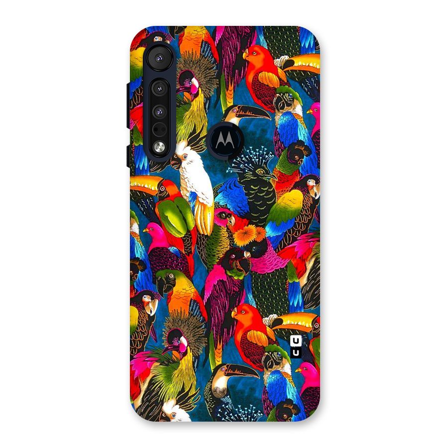 Parrot Art Back Case for Motorola One Macro