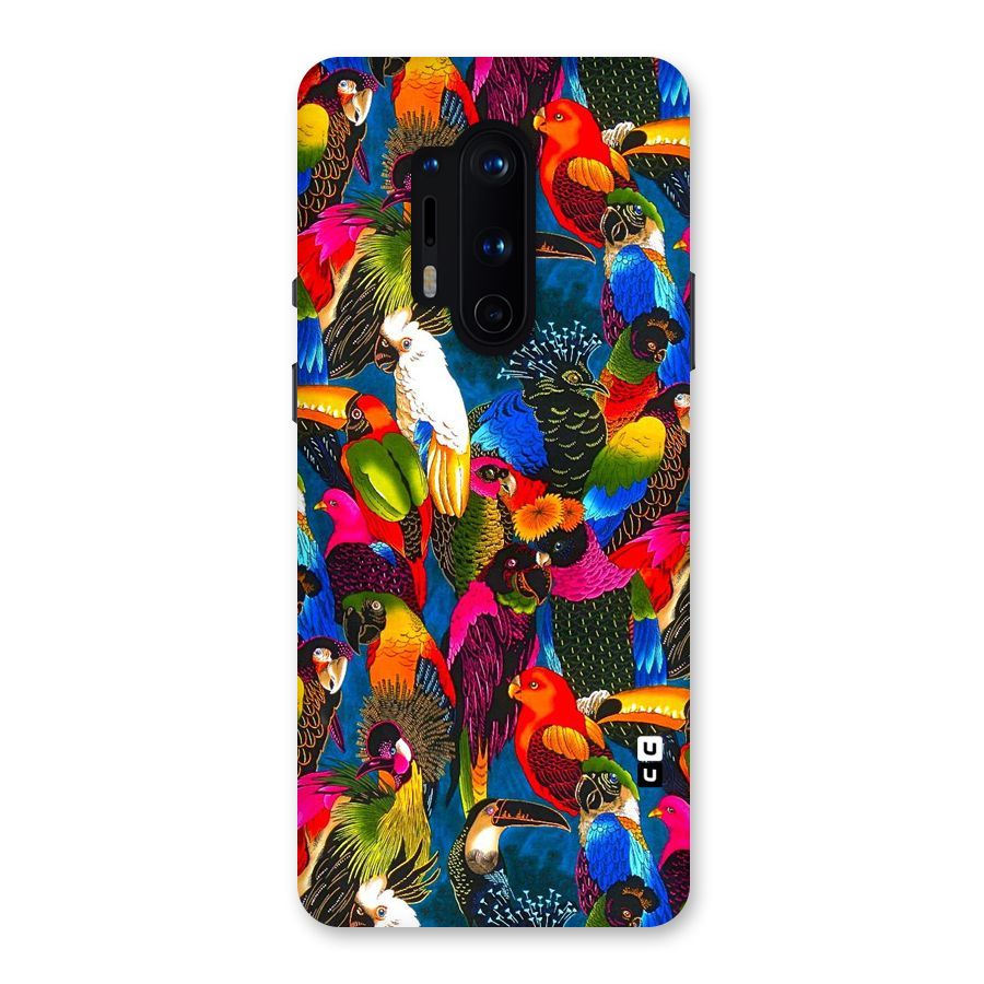 Parrot Art Back Case for OnePlus 8 Pro