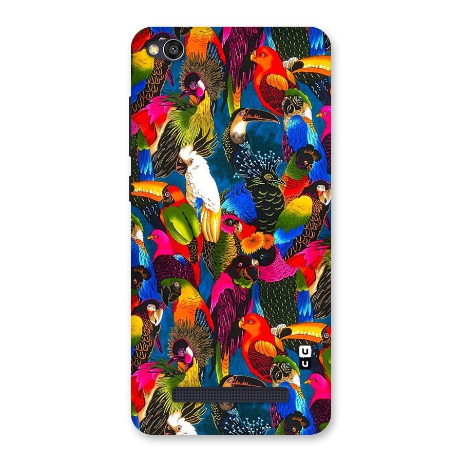 Parrot Art Back Case for Redmi 4A