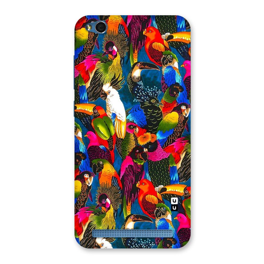 Parrot Art Back Case for Redmi 5A