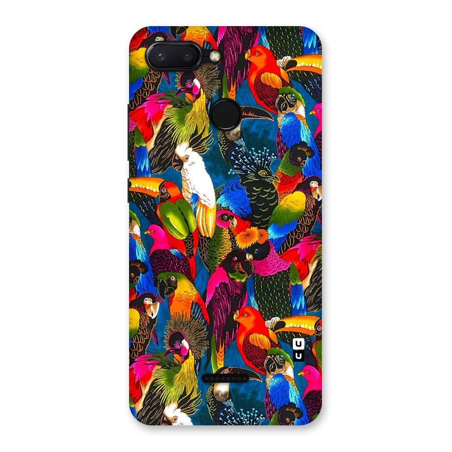 Parrot Art Back Case for Redmi 6