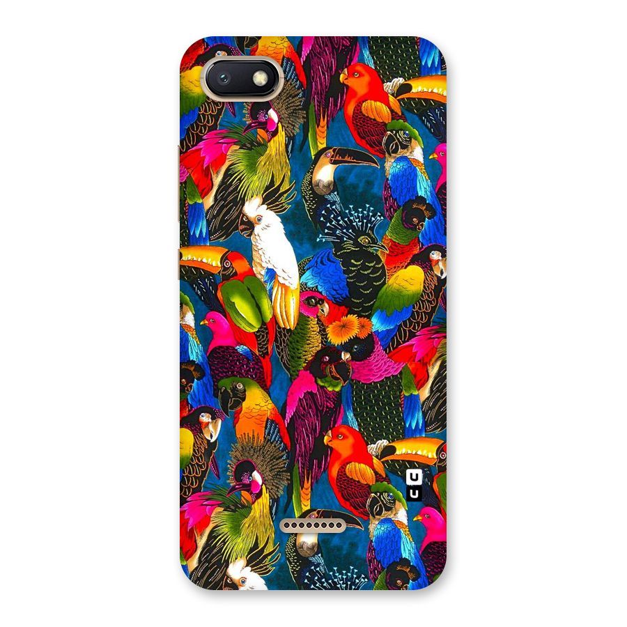 Parrot Art Back Case for Redmi 6A