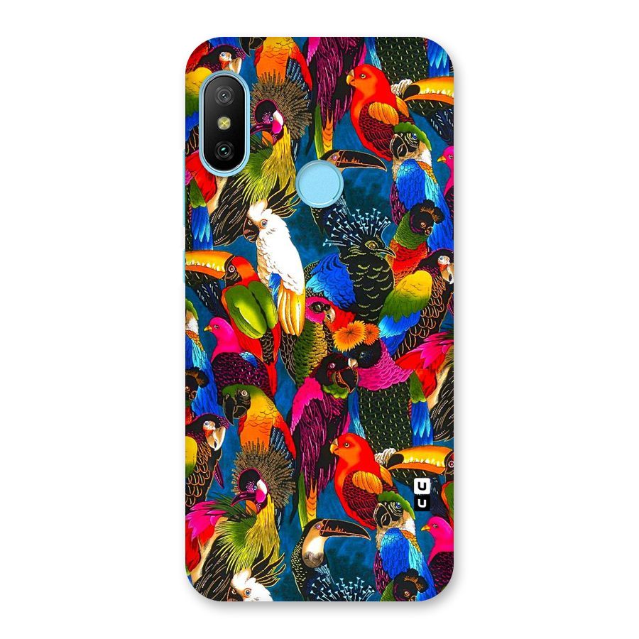 Parrot Art Back Case for Redmi 6 Pro