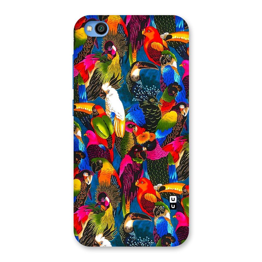Parrot Art Back Case for Redmi Go