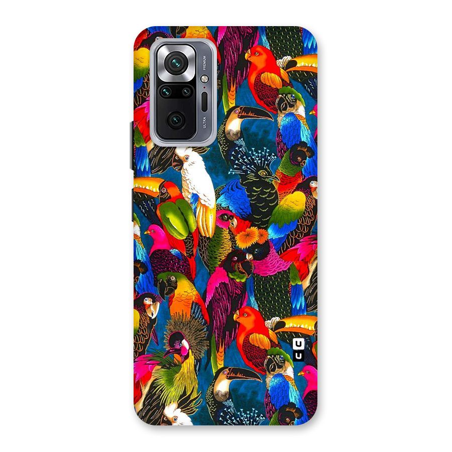 Parrot Art Back Case for Redmi Note 10 Pro