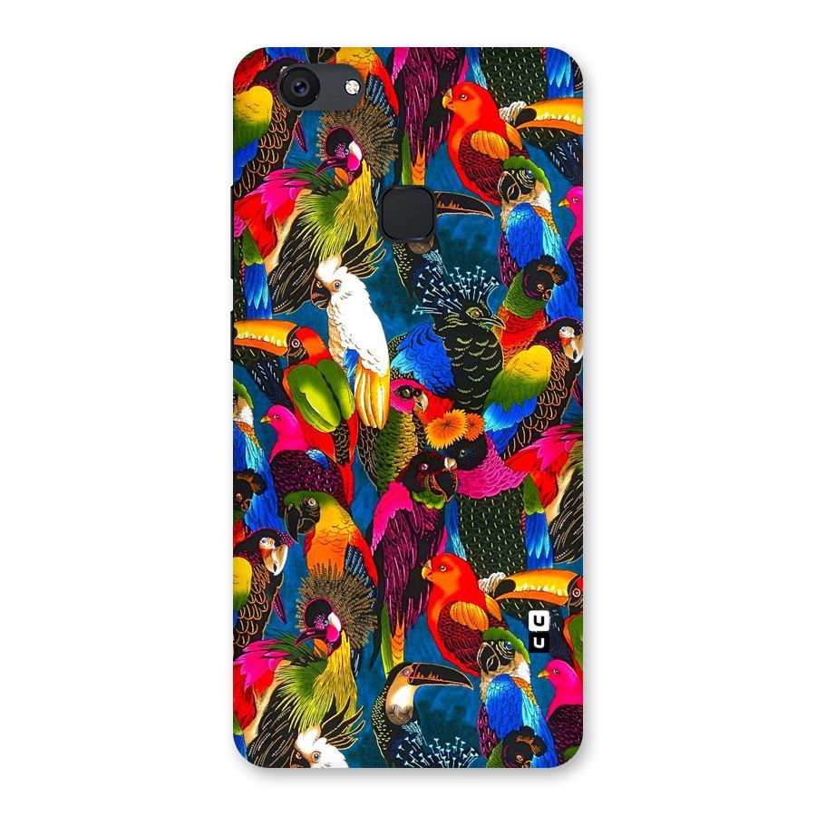 Parrot Art Back Case for Vivo V7 Plus
