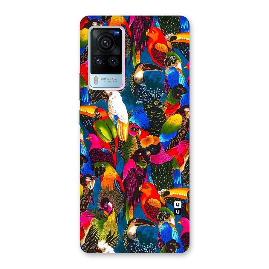 Parrot Art Back Case for Vivo X60 Pro