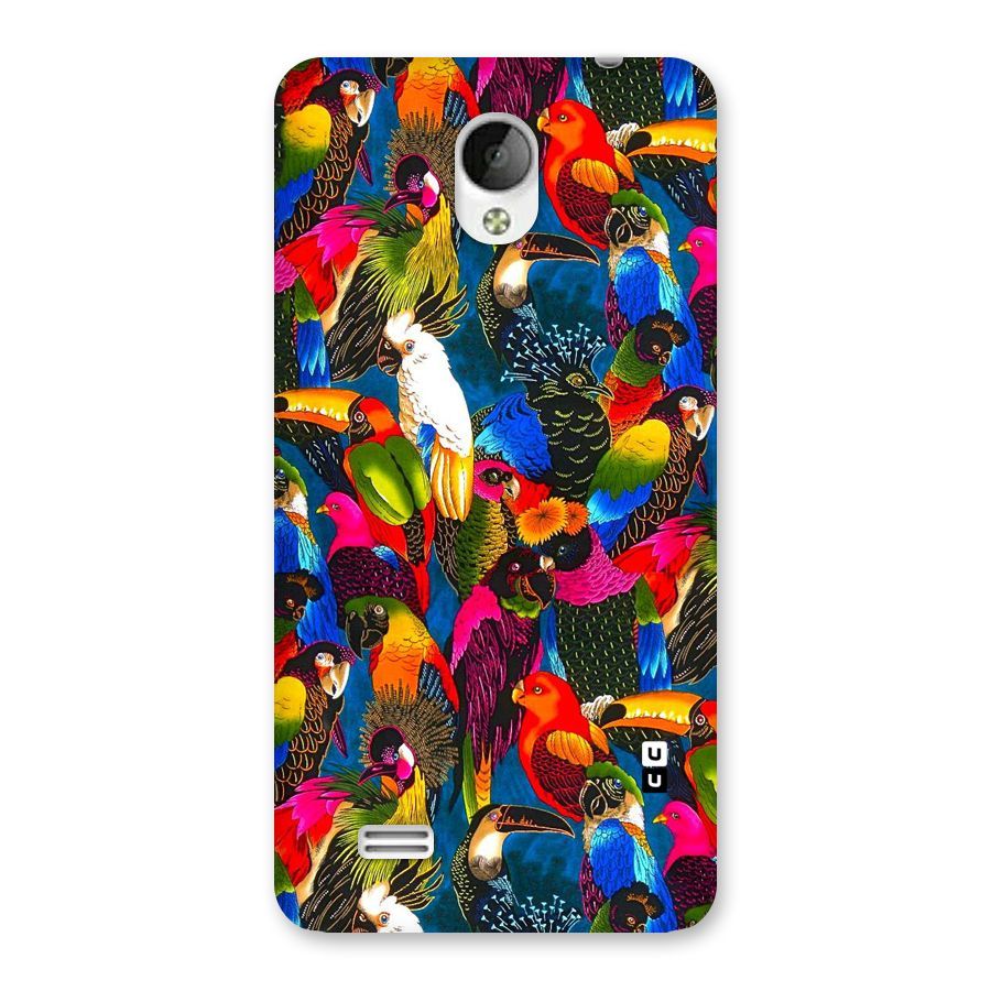 Parrot Art Back Case for Vivo Y21
