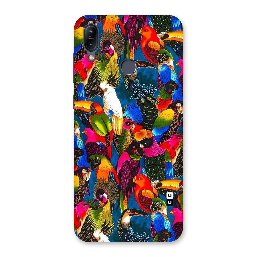 Parrot Art Back Case for Zenfone Max M2