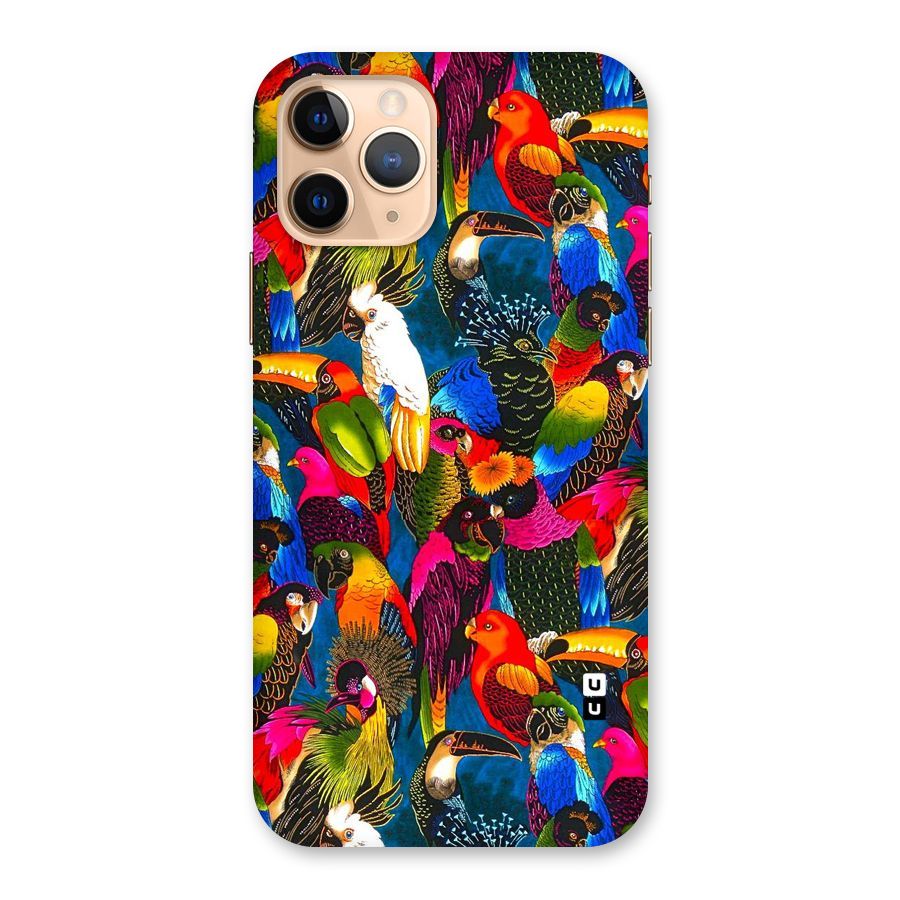 Parrot Art Back Case for iPhone 11 Pro