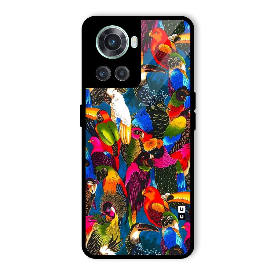Parrot Art Glass Back Case for OnePlus 10R