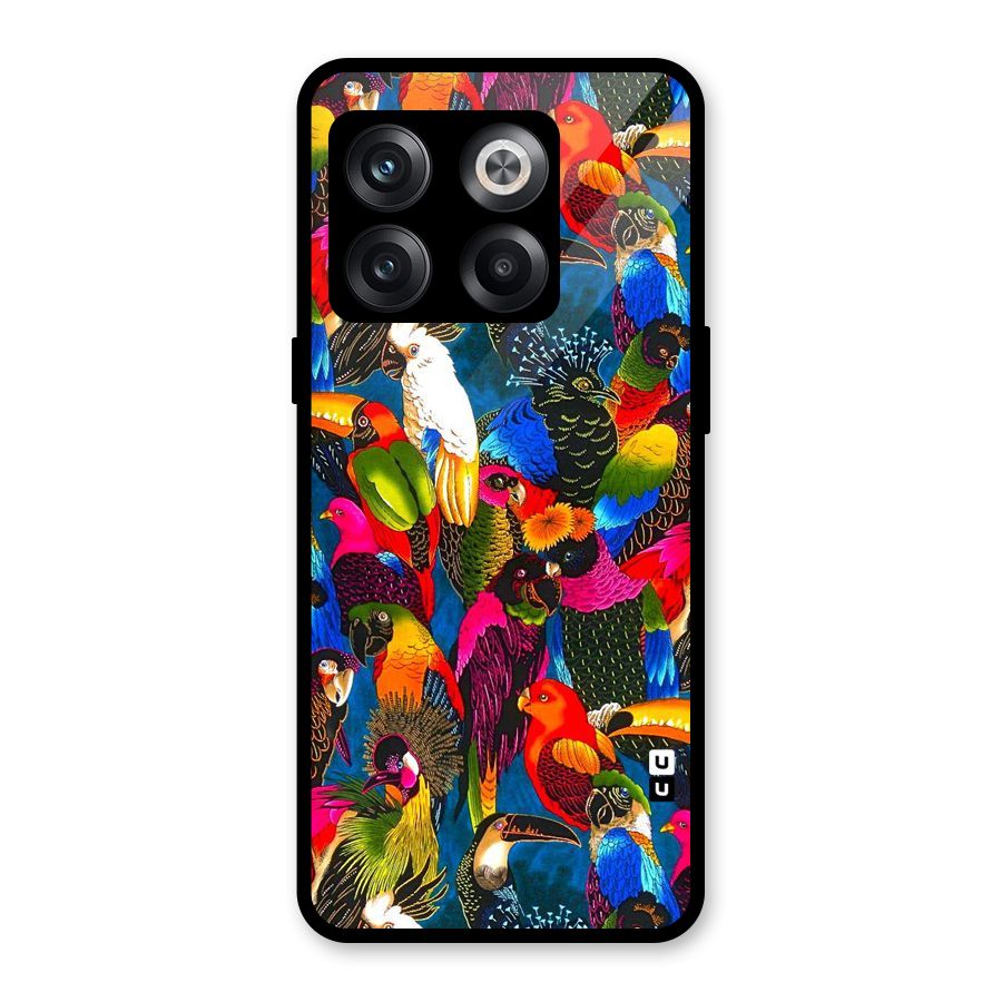 Parrot Art Glass Back Case for OnePlus 10T