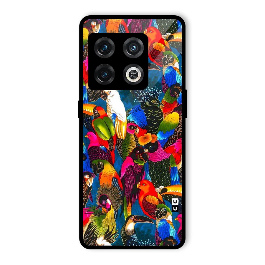 Parrot Art Glass Back Case for OnePlus 10 Pro 5G