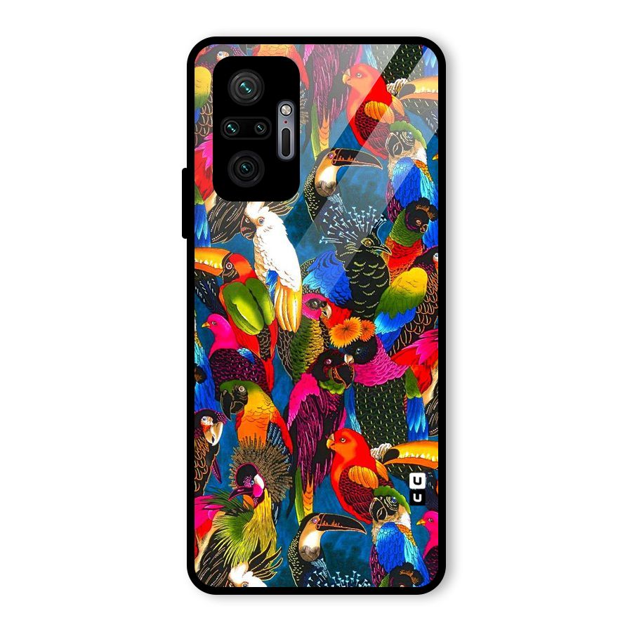 Parrot Art Glass Back Case for Redmi Note 10 Pro Max