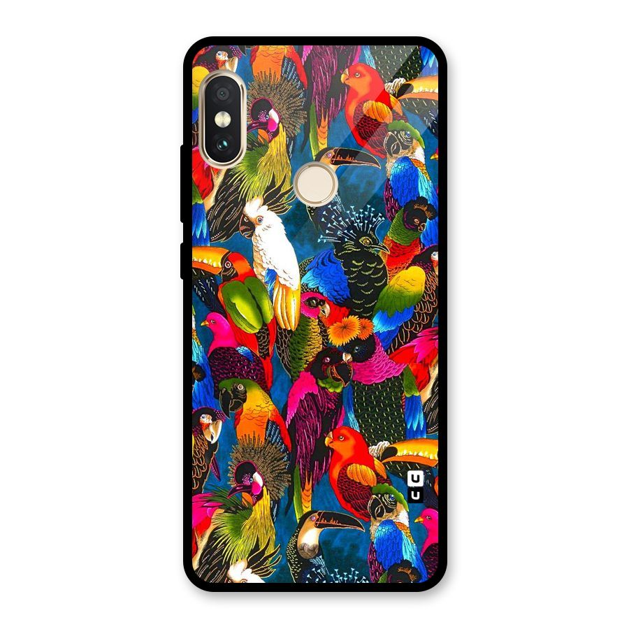Parrot Art Glass Back Case for Redmi Note 5 Pro