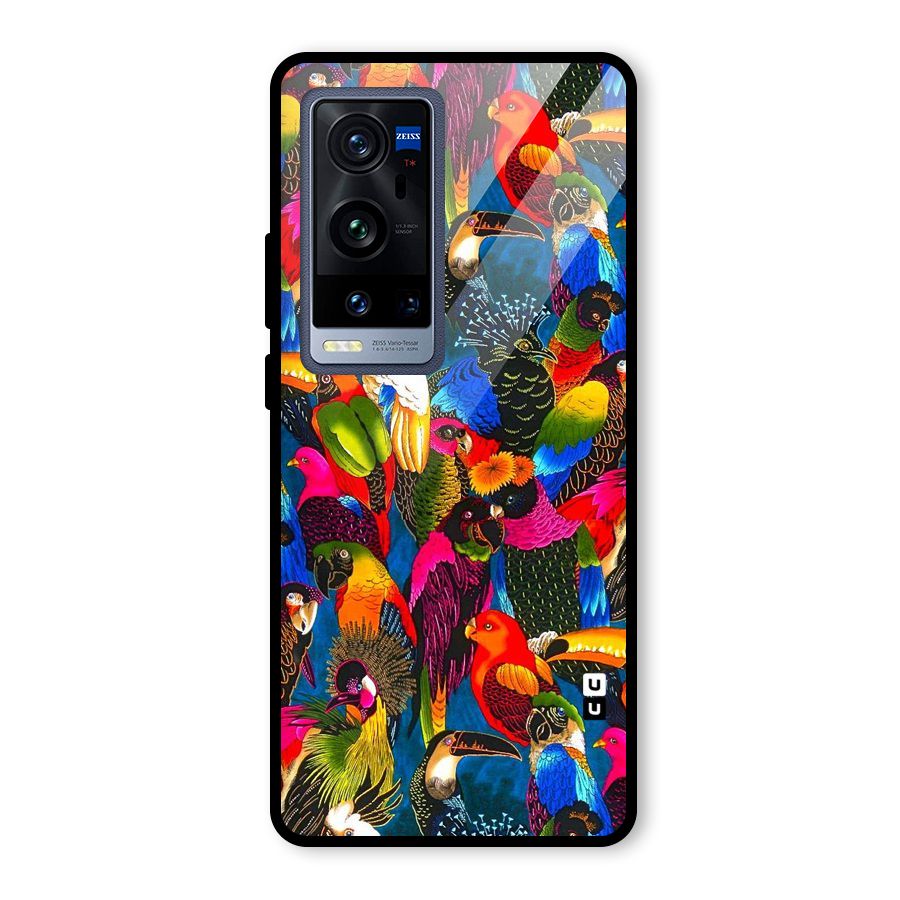 Parrot Art Glass Back Case for Vivo X60 Pro Plus