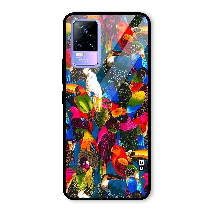 Parrot Art Glass Back Case for Vivo Y73