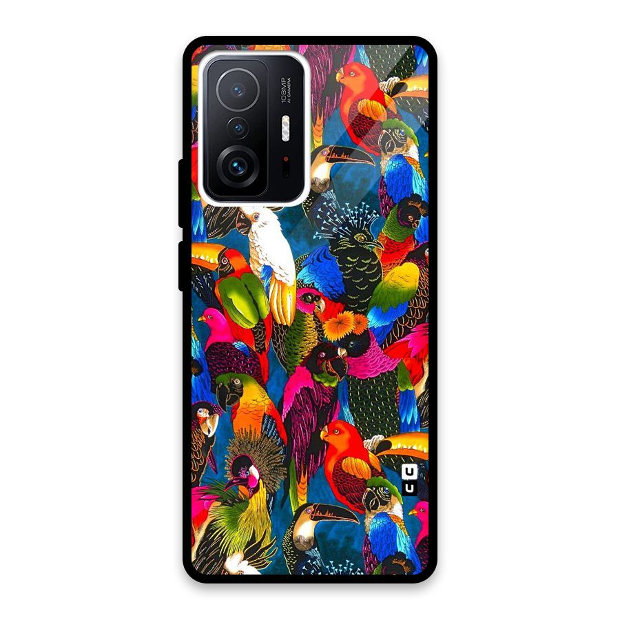 Parrot Art Glass Back Case for Xiaomi 11T Pro