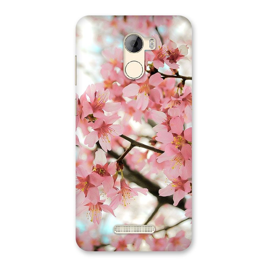 Peach Floral Back Case for Gionee A1 LIte