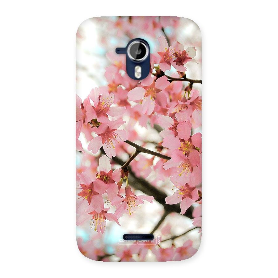 Peach Floral Back Case for Micromax Canvas Magnus A117