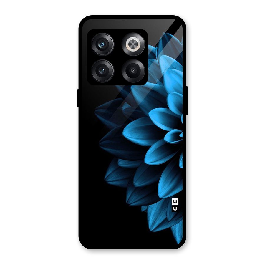 Petals In Blue Glass Back Case for OnePlus 10T