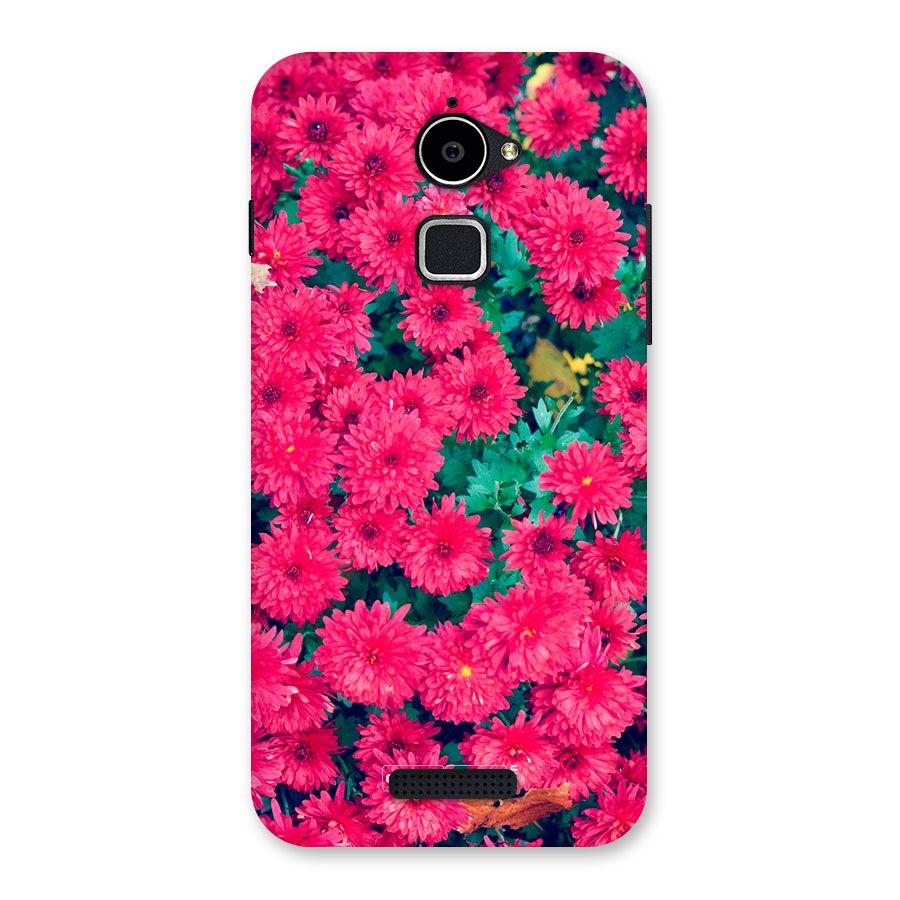 Pink Flowers Back Case for Coolpad Note 3 Lite