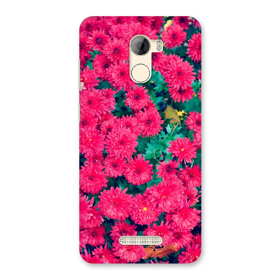 Pink Flowers Back Case for Gionee A1 LIte