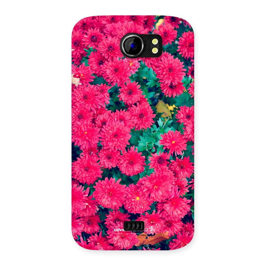 Pink Flowers Back Case for Micromax Canvas 2 A110