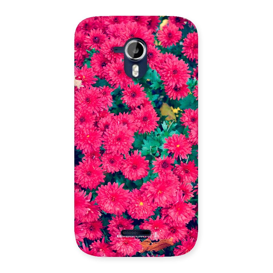 Pink Flowers Back Case for Micromax Canvas Magnus A117