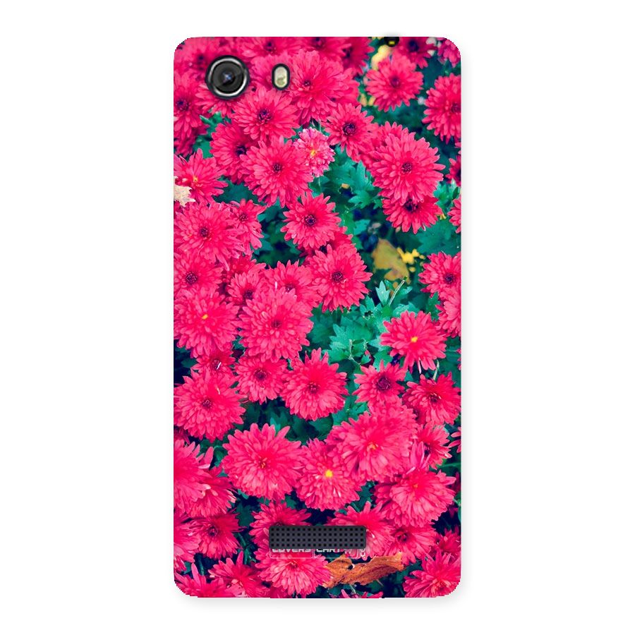 Pink Flowers Back Case for Micromax Unite 3